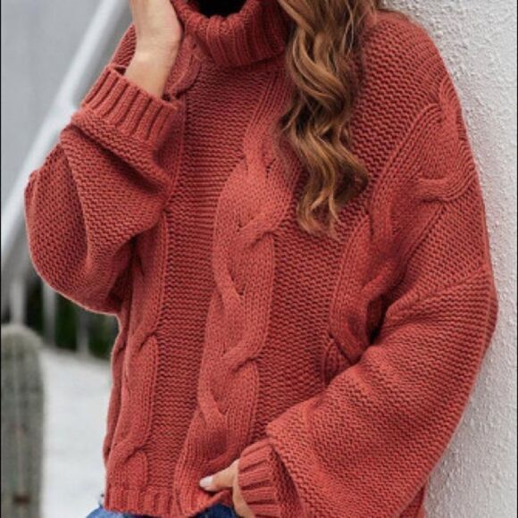 Cozy Cozy Turtleneck Sweater - Picture 1 of 4
